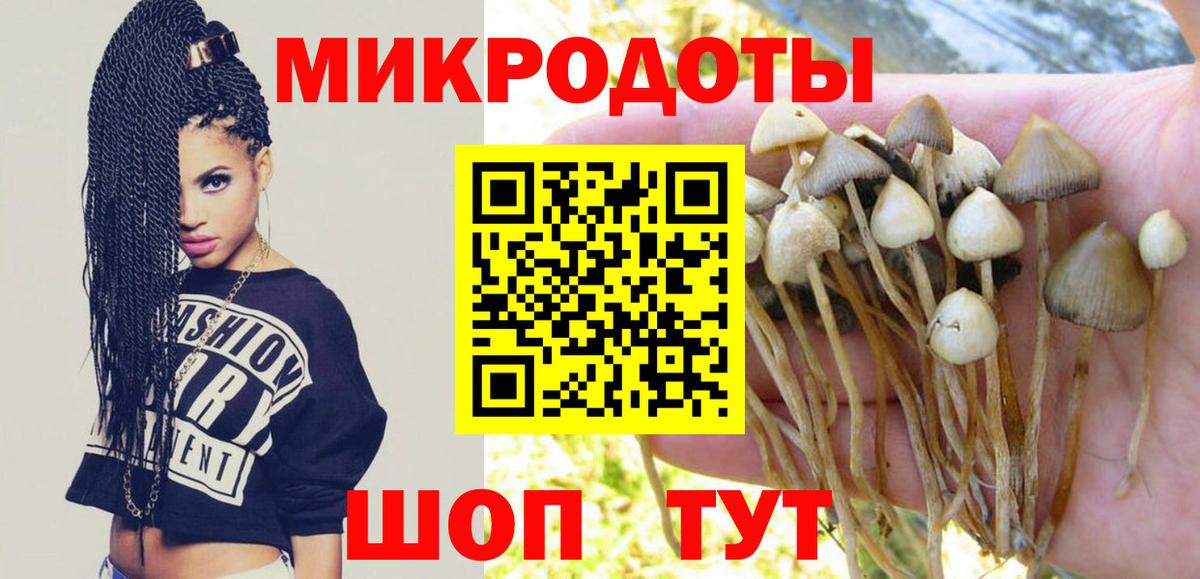 Галлюциногенные грибы прущие грибы  Галлюциногенные грибы GOLDEN TEACHER  Вход с VPN  Мценск 
