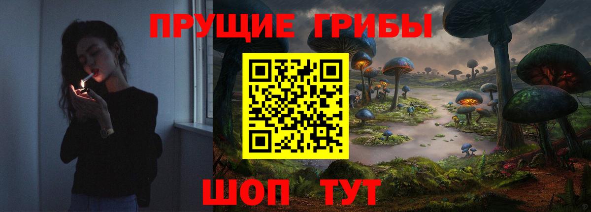 Псилоцибиновые грибы мицелий Мценск
